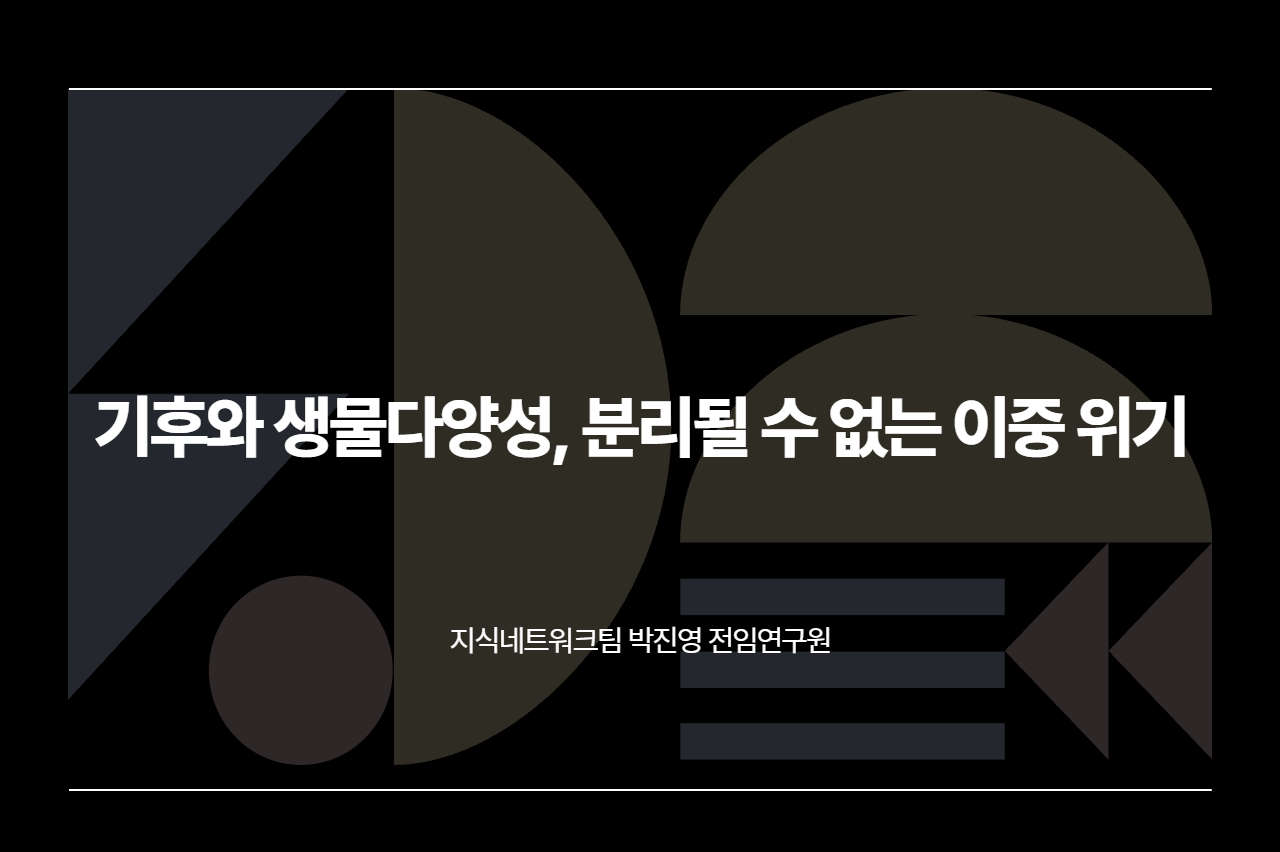 CC칼럼_홈페이지용_7.jpg