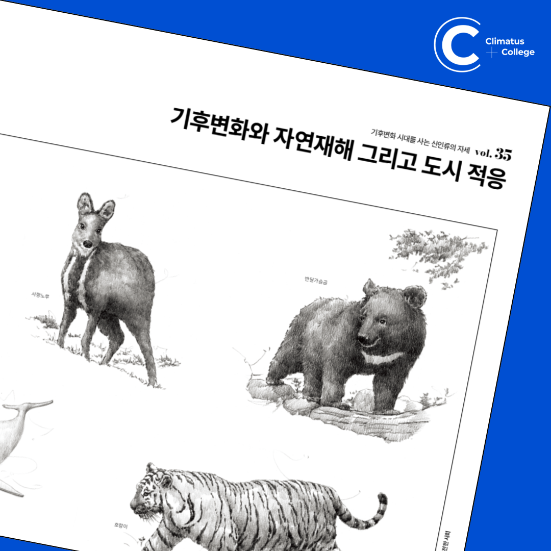 CC매거진 35호